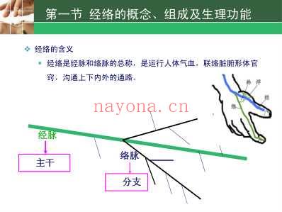 中医护理学-第三章经络.pdf