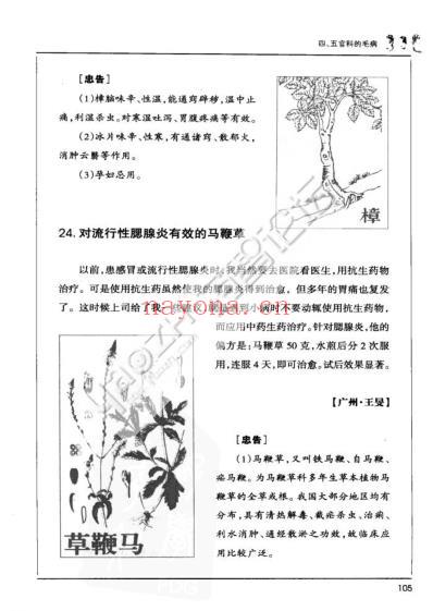 中医老偏方二.pdf