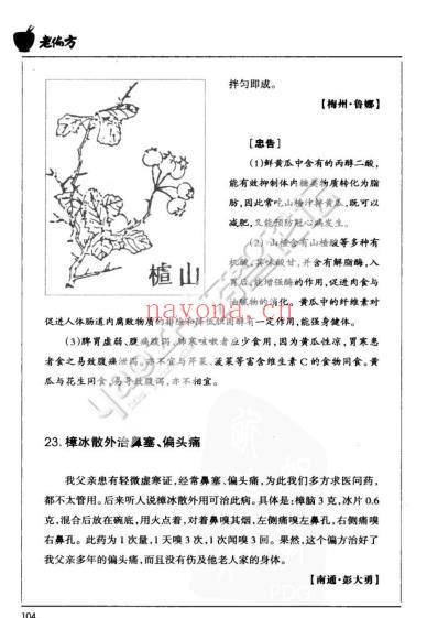 中医老偏方二.pdf