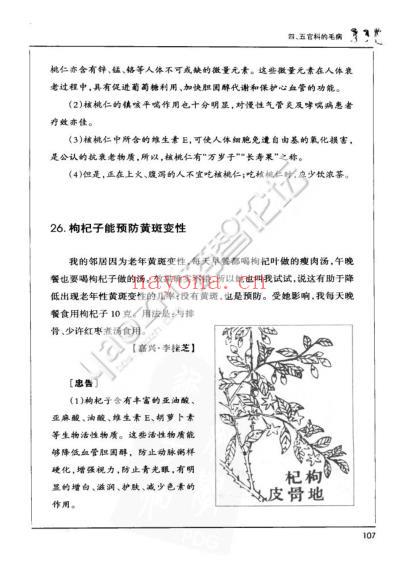 中医老偏方二.pdf