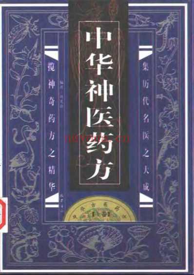 中华古医药方_上卷_扫描版.pdf