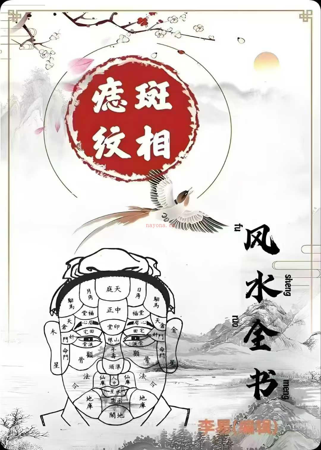 《痣斑纹相风水全书》510页