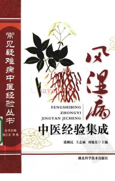 风湿病中医经验集成.pdf