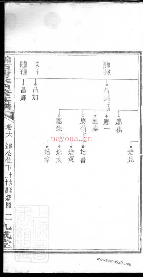 【中湘锦石唐氏四修族谱】（湘潭家谱）_N5390.pdf