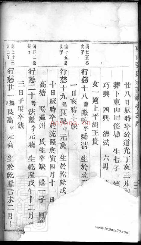 【东山张氏宗谱】_N0503.pdf