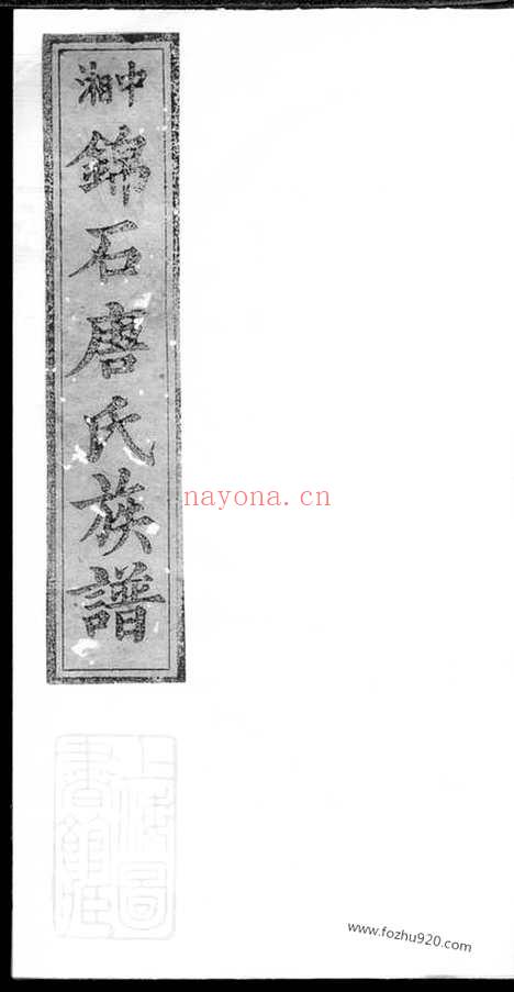 【中湘锦石唐氏四修族谱】（湘潭家谱）_N5390.pdf