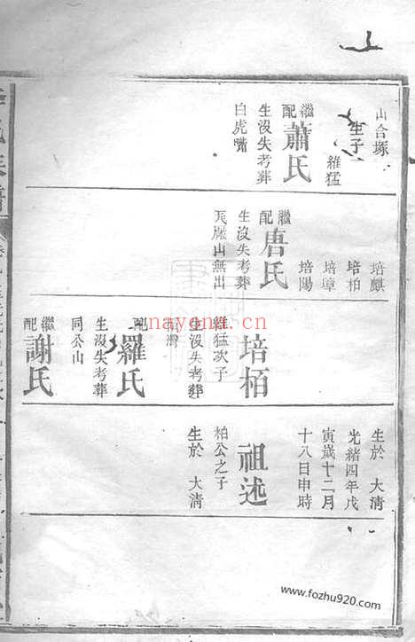 【武邑李氏族谱】（武陵家谱）_N6018.pdf