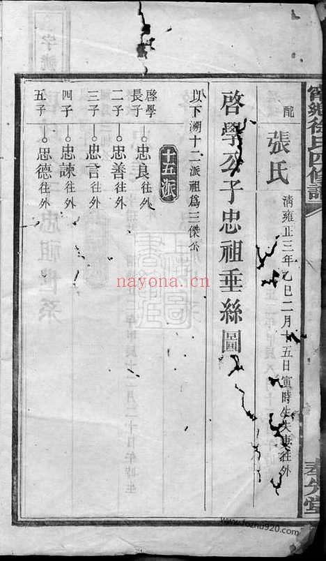 【宁乡徐氏四修谱】_N5130.pdf