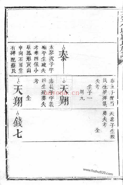 【大安小墟罗氏族谱】不分卷（萍乡家谱）_N4320.pdf