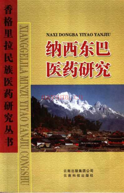 纳西东巴医药研究.pdf