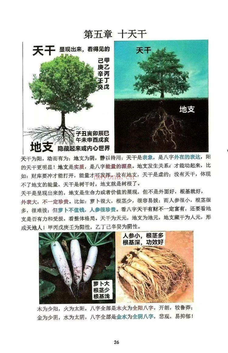 《如何看八字精华、趣味八字》高清彩色146页.PDF