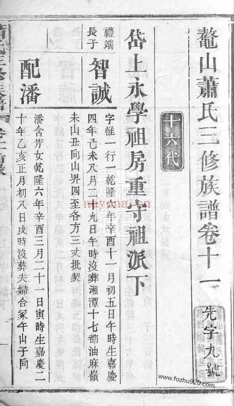 【鼇山萧氏三修族谱】（湘潭家谱）_N3713.pdf