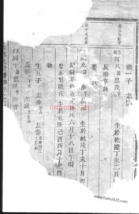 【东阳梁渡郭氏宗谱】_N5291.pdf