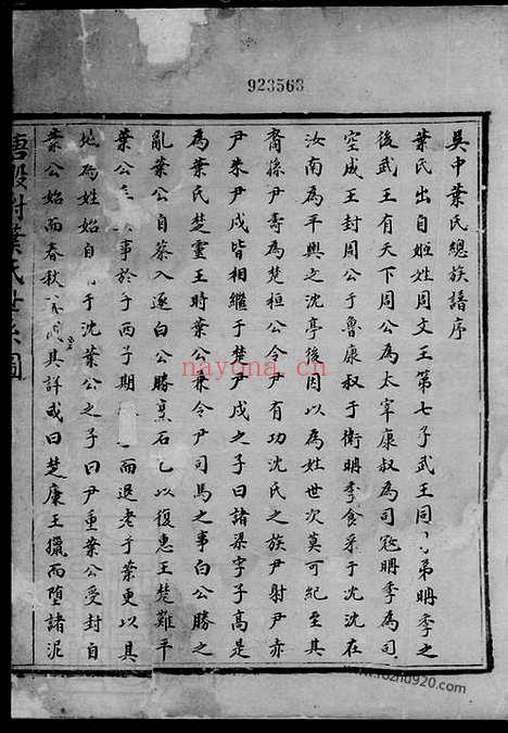 【吴中叶氏族谱】选唐股村支派宗图_N0865.pdf