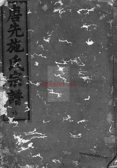 【唐先施氏宗谱】（永康家谱）_N7693.pdf