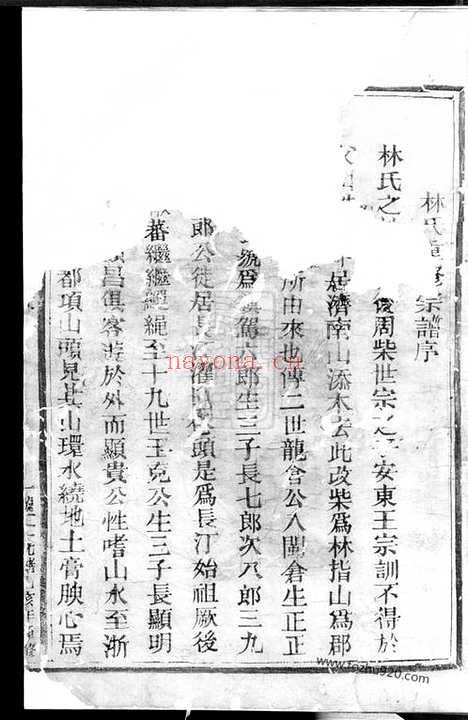 【济南林氏宗谱】不分卷（松阳家谱）_N7002.pdf