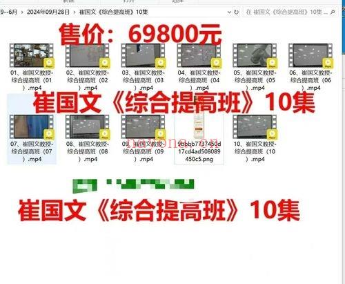 崔国文《综合提高班》视频课程10集