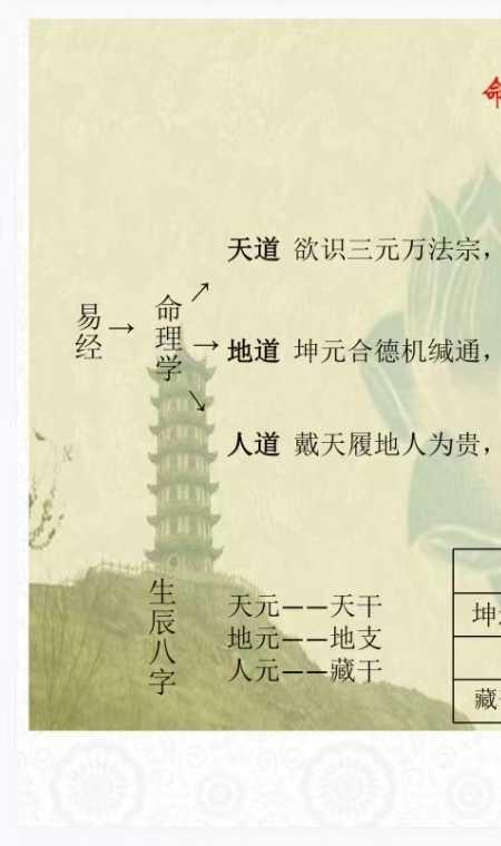 金玉章-八字入门讲义72页.pdf