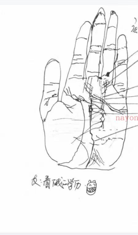 相法实战案例玉手点乾坤 .pdf