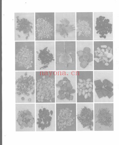 神奇中医-药酒药茶.pdf