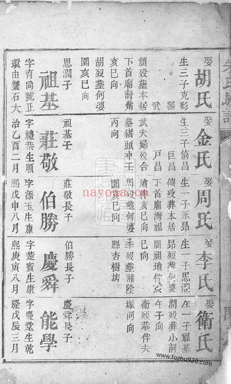 【朱氏族谱】（巴陵家谱）_N5529.pdf