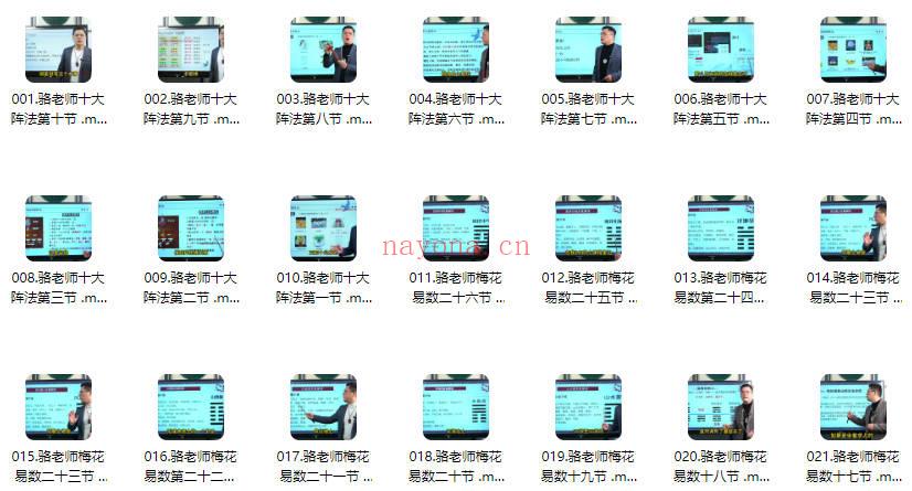 骆栩平老师《亲传高阶弟子班》视频48集