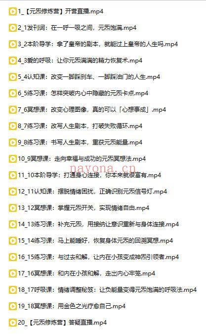 蔡茜老师&卢国东先生《元炁修炼营修炼营》视频课40集