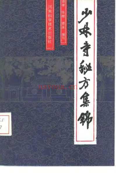 少林寺秘方集锦_德禅-德虔.pdf