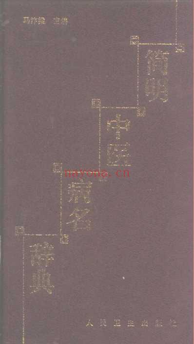 简明中医病名词典.pdf