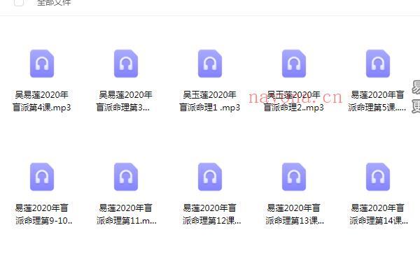 吴玉莲易莲命理庚子年高级精华班 2020年盲派命理微信内部群课程录音