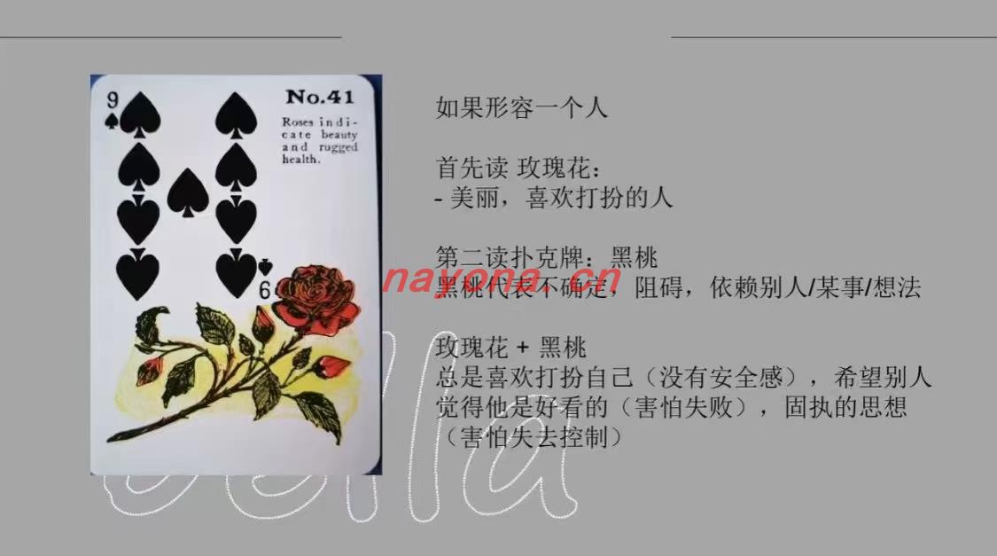 【吉普赛预言卡】Gypsy Witch Fortune Telling Cards吉普赛女巫占卜课程 贝拉老师扑克占卜