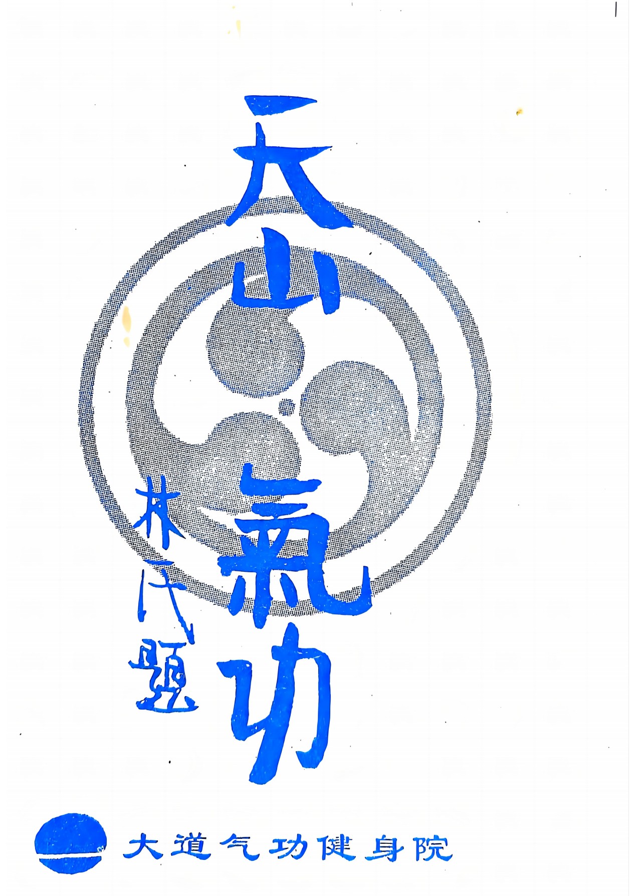 大魔神功原资料书页第5张