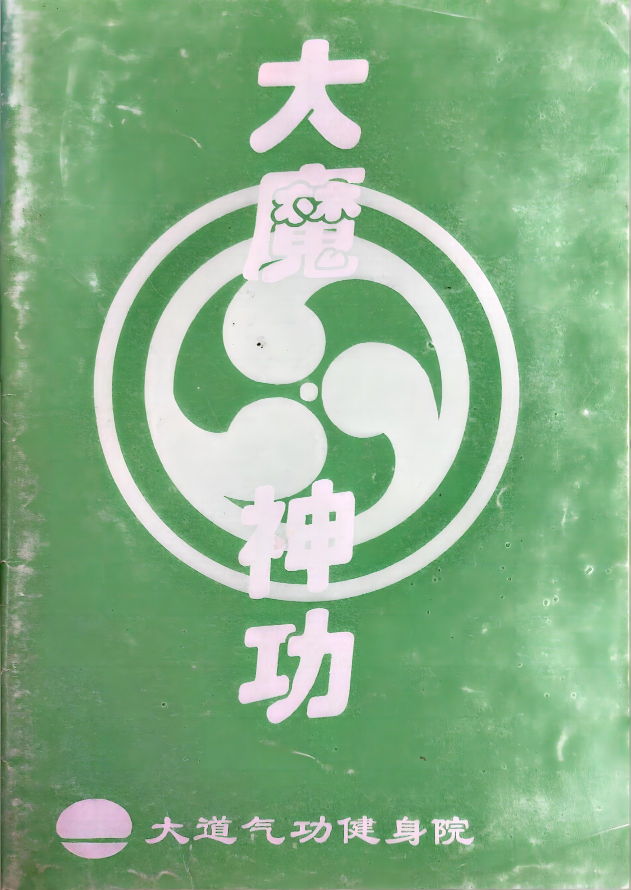 大魔神功原资料书页第8张