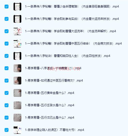 【衍学盲派】文档+音频课+视频课程