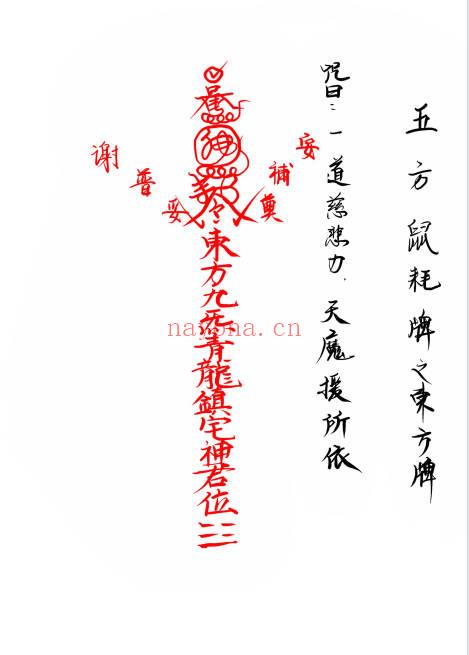 普庵派法本《先天普庵符法》20页.PDF电子版