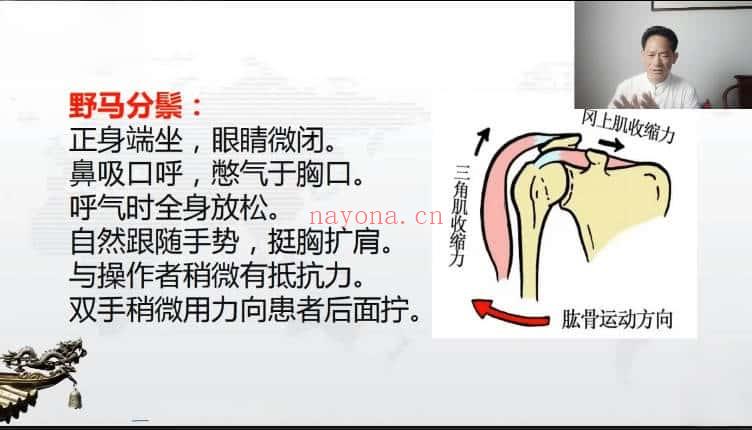 张金【古中医疗法】视频教学3集