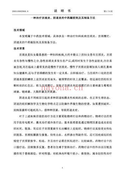 一种治疗宫颈炎-阴道炎的中药凝胶剂及其制备方法.pdf
