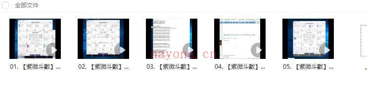 25年泰国老正讲紫微斗数高级技法视频5集Y插图
