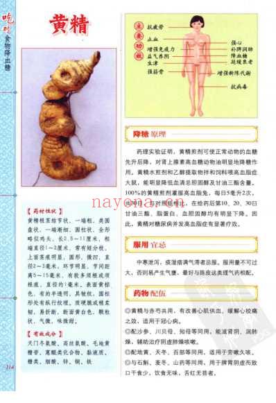 吃对食物降血糖_二.pdf
