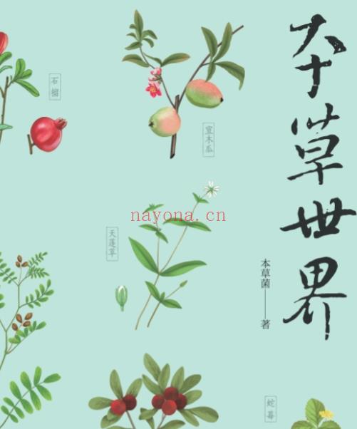 2505400-190 本草世界316页插图