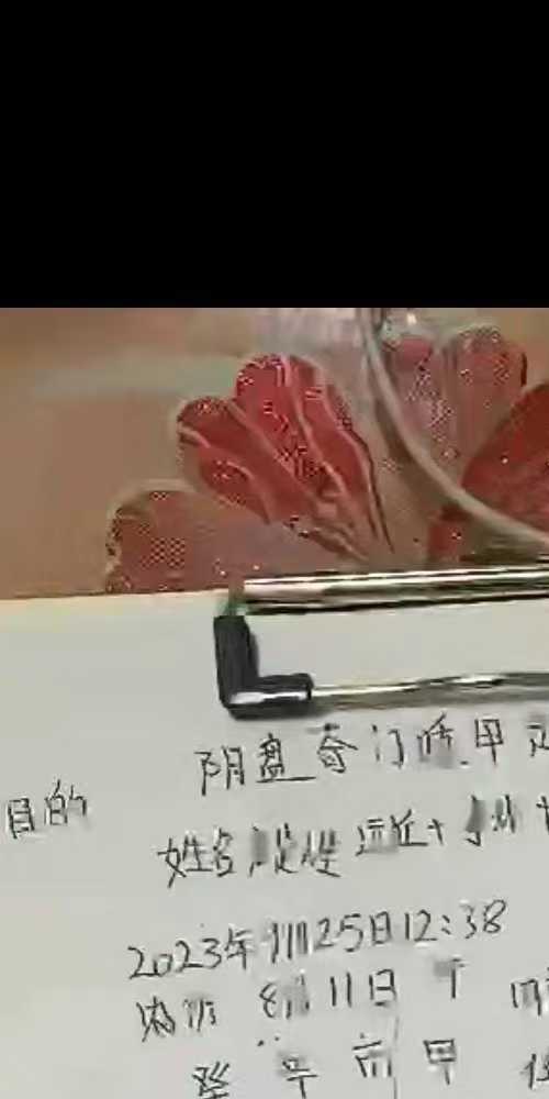 敏泰老师奇门遁甲实战案例解析23集