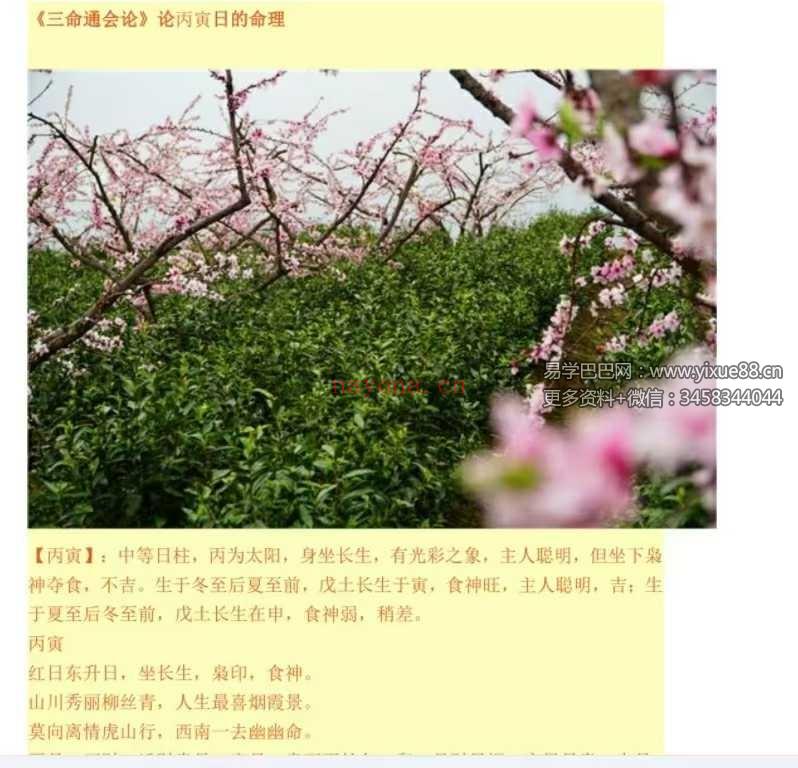 双飞排盘《一柱论命》194页