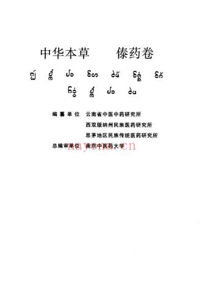 中华本草_傣药卷.pdf