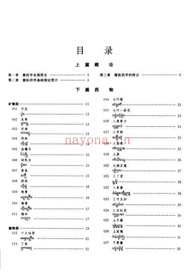 中华本草_傣药卷.pdf