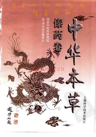 中华本草_傣药卷.pdf