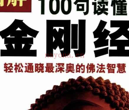 图解100句读懂金刚经 琼那.诺布旺典编2007.pdf插图