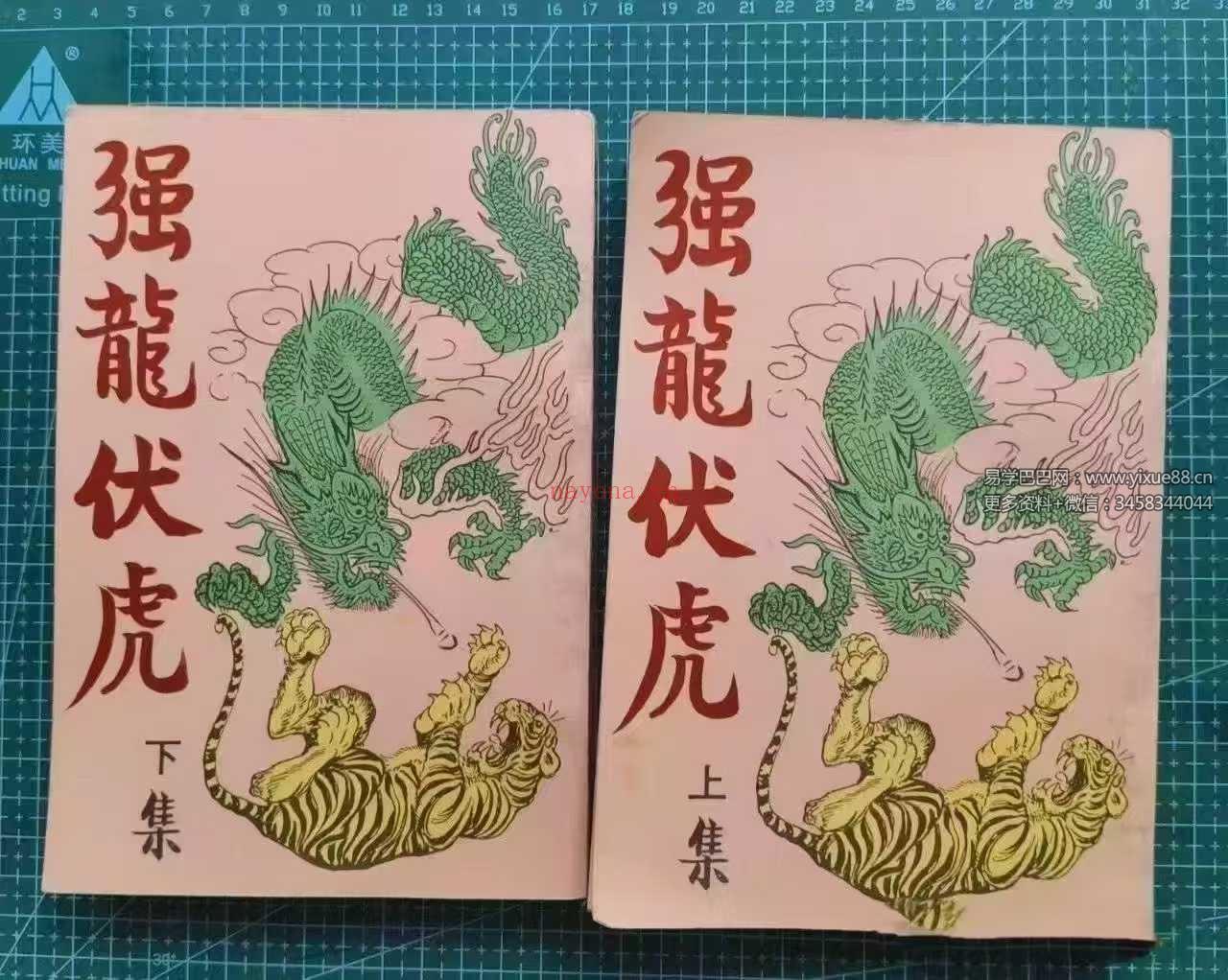 于海洲《强龙伏虎》2册