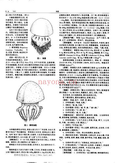 中华本草_九.pdf