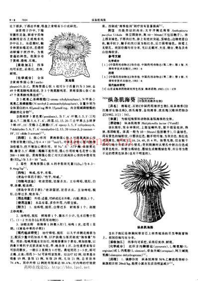 中华本草_九.pdf