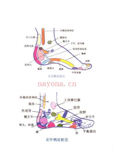 足部推拿按摩_宋一同.pdf